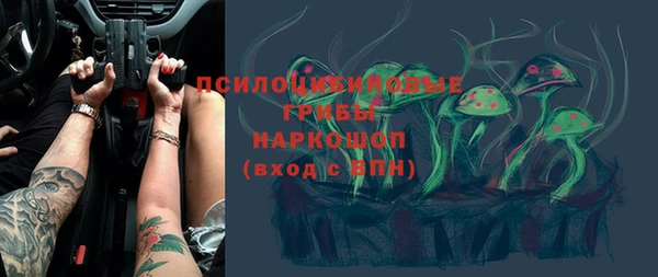 метадон Алексин