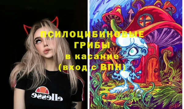 метадон Алексин