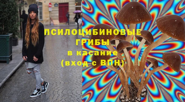 ПСИЛОЦИБИНОВЫЕ ГРИБЫ Алзамай